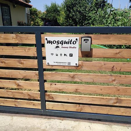 Mosquito Luxury Studio 克拉默特 外观 照片